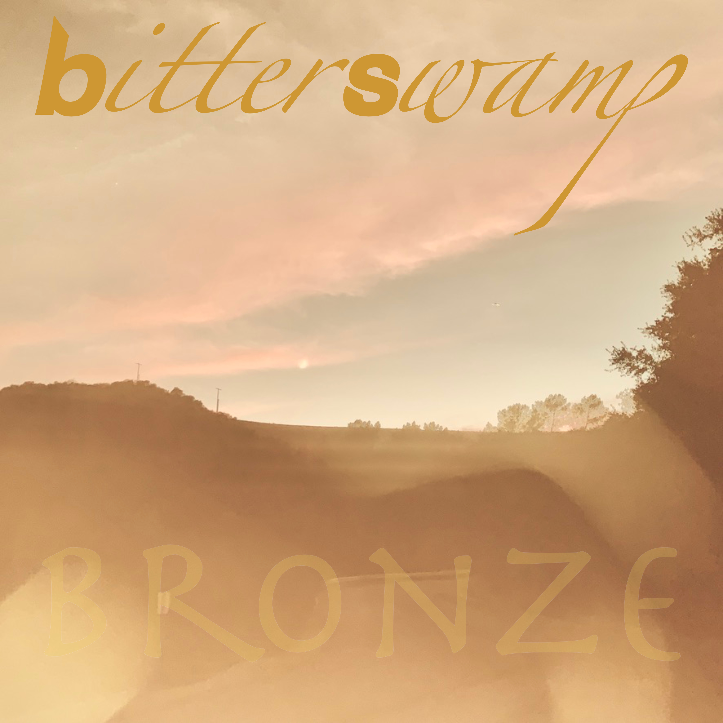 Bitterswamp-bronze