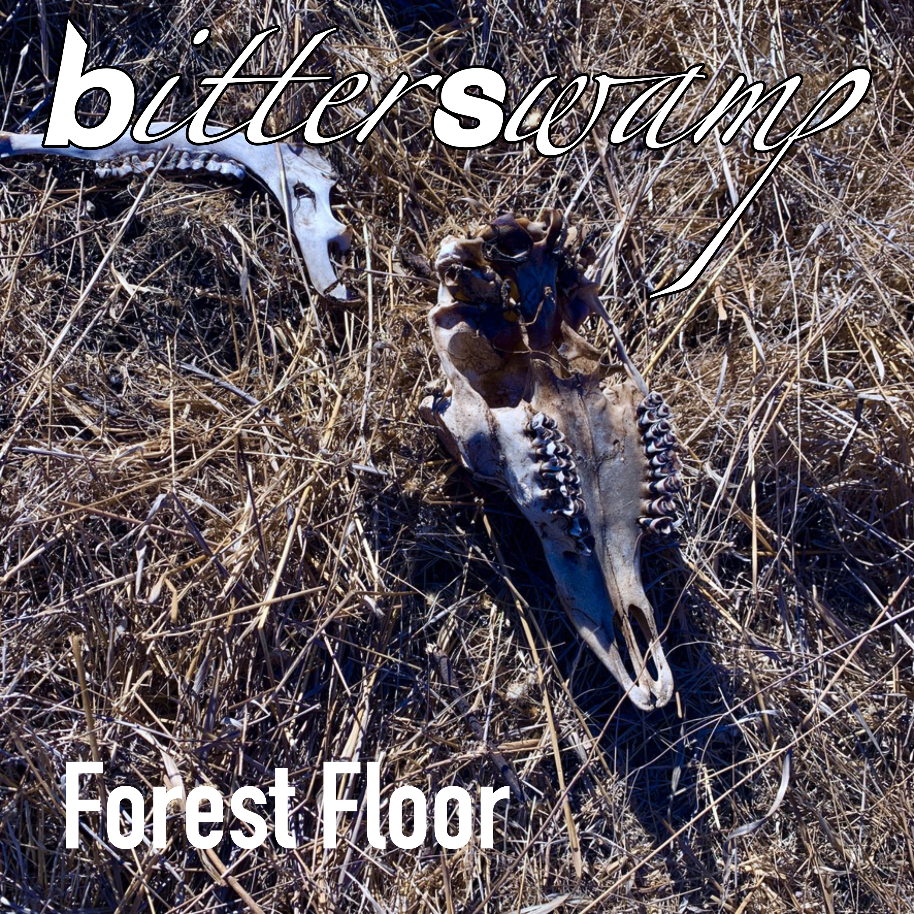 Bitterswamp-Forest Floor