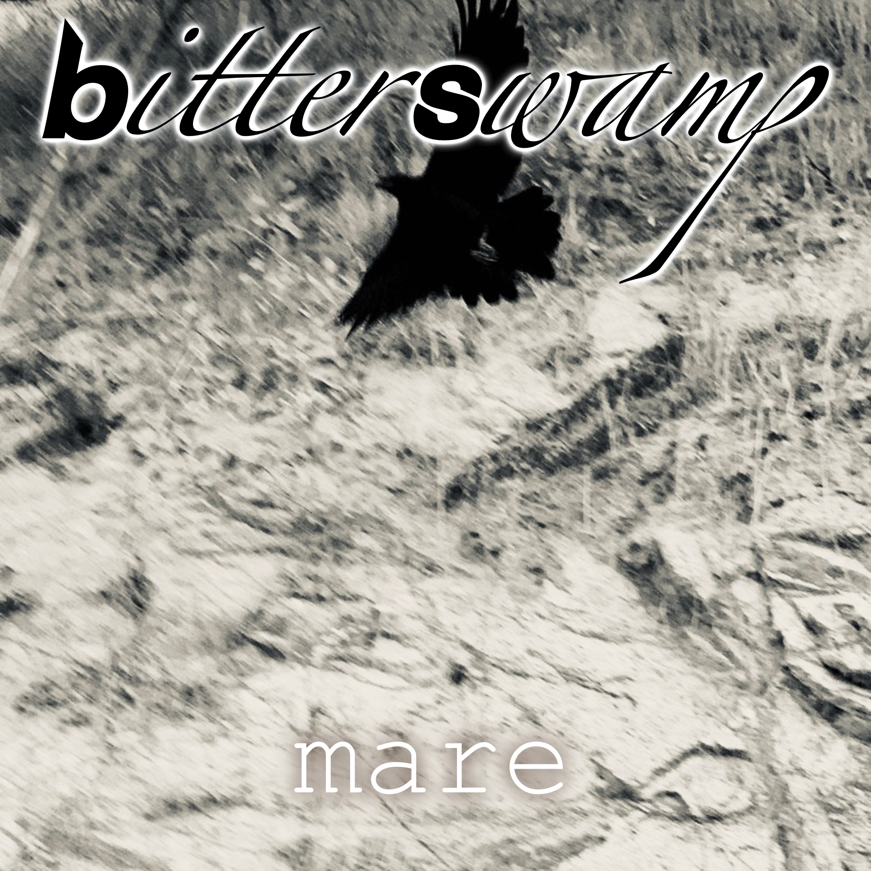 Bitterswamp-Mare