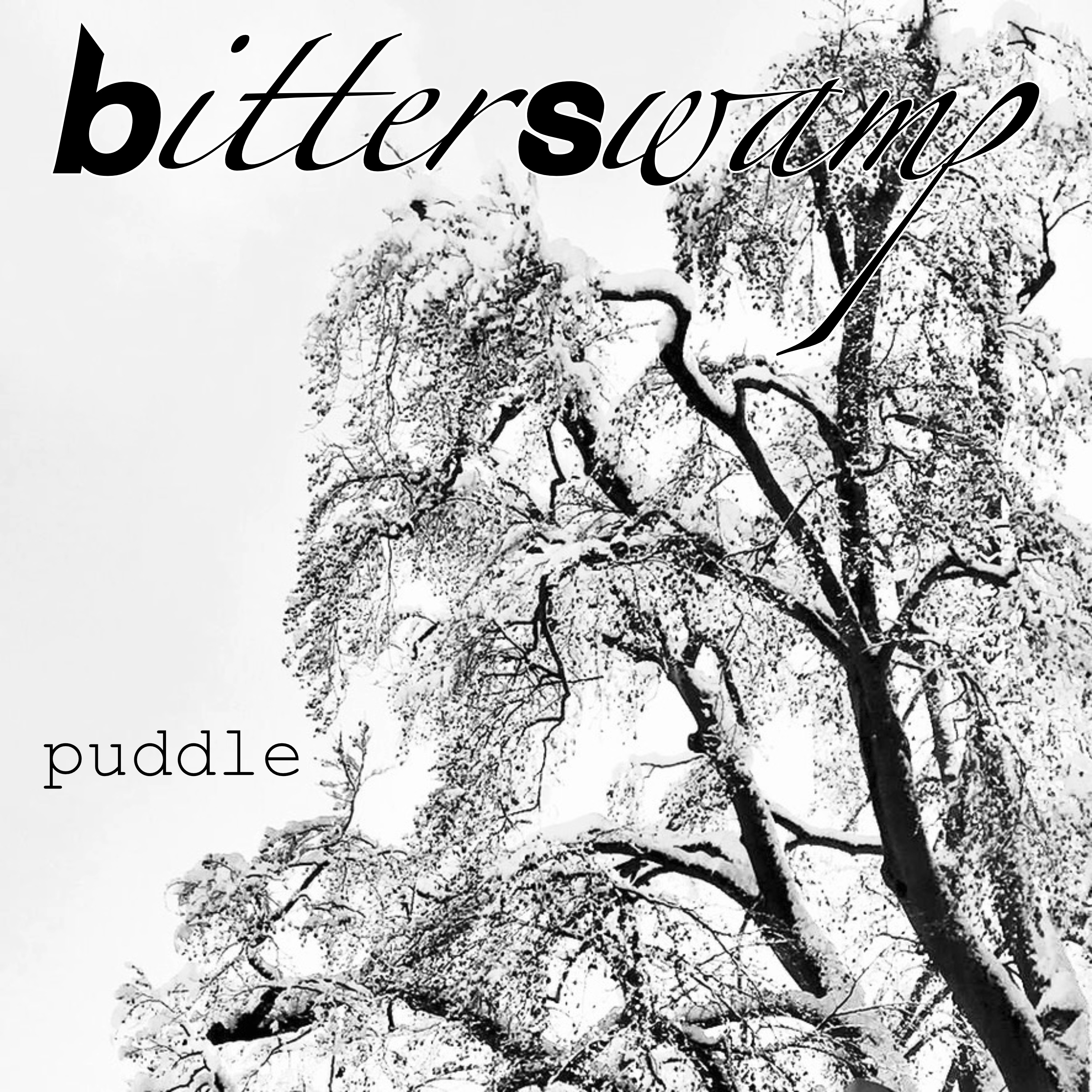 Bitterswamp-Puddle