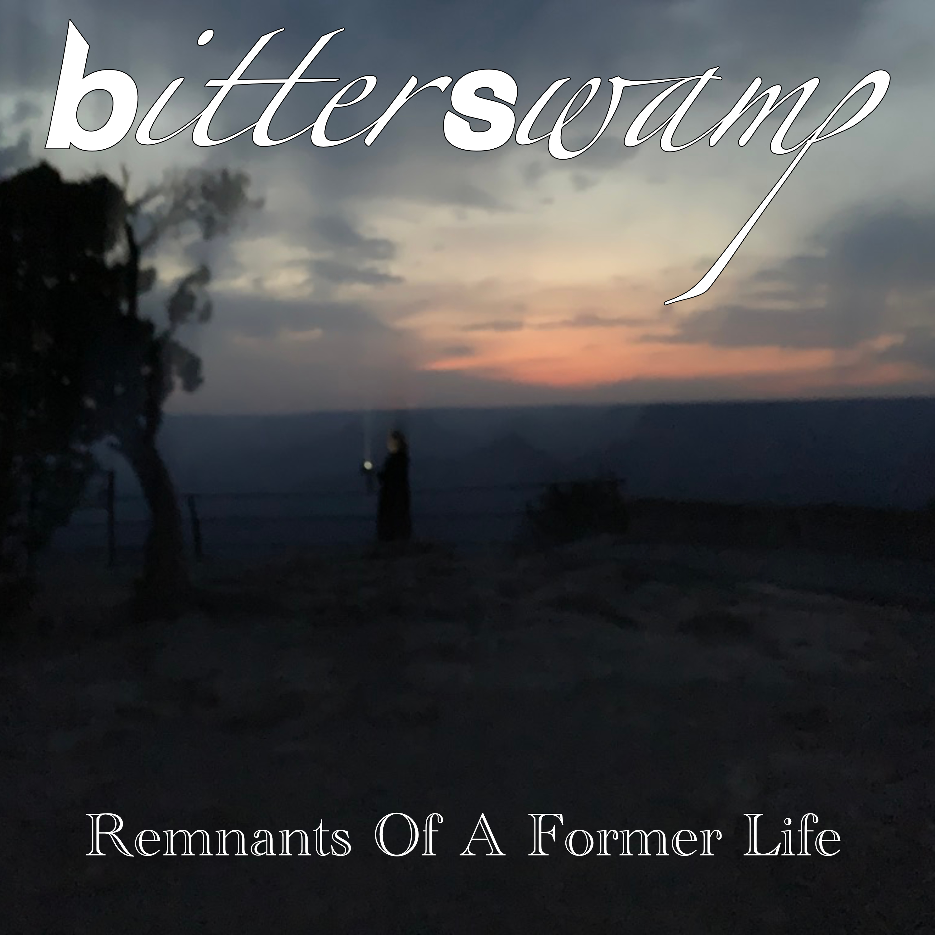 Bitterswamp Remnants%20Of%20A%20Former%20Life-3k